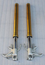 APRILIA TUONO 1000 V4 R 11-13 RSV4 1100 RR 11-21 USD GABEL TAUCHROHR STANDROHR