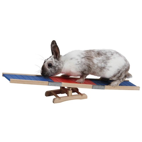 Agility wippe 60x18x12 - agility, cm