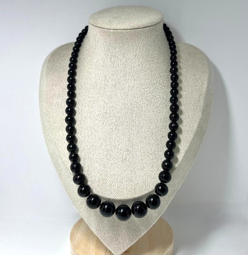 Luxuriöse antipatharia black - antipatharia,