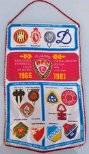 DDR Wimpel 1981 15 Jahre BFC
