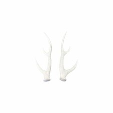 Hirschgeweih 2er Set ca. 13,5x12x40 cm Weiß Glänzend Geweih Wildgeweih Wand Deko