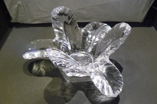 Cabbage leaf kristall schale - kristall,