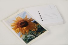 20x Postkartenaufkleber Rowi Photocard Photopost 10 x 15