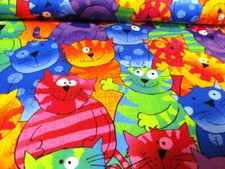 Katzen Cat bunt  Catsville