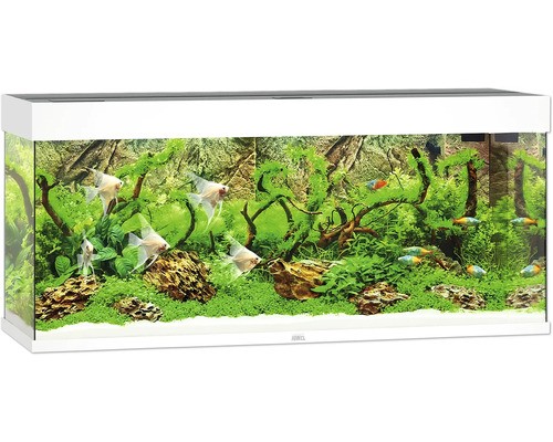 Aquarium juwel rio 240 mit - juwel,