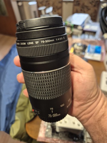 Canon 300mm 5 6 - canon, 4-5.6