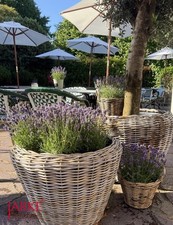 Rattan Pflanzkübel Grau mit