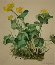 Aquarell unleserlich signiert