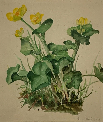 Aquarell unleserlich signiert