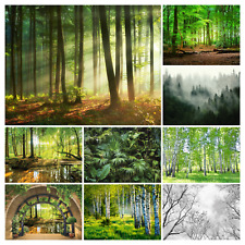 Fototapete Wald 3D Effekt Bäume Natur Wohnzimmer VLIES TAPETE XXL + KLEISTER