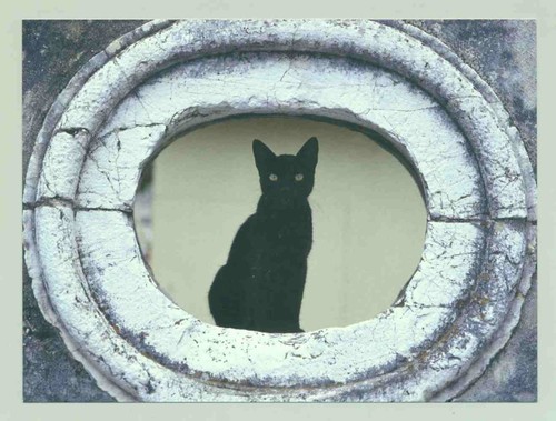 Postkarte katze kapitän - katze, "kapitän