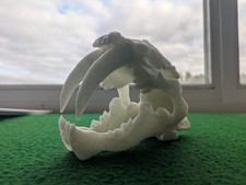 grosser Säbelzahntiger Skelettkopf  ideal für Halloween aus Plastik leuchtet 