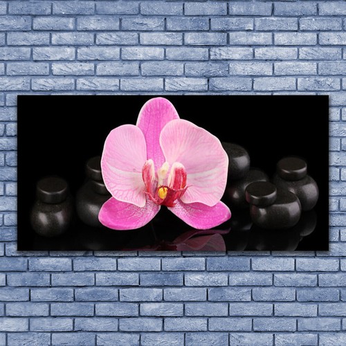 Acrylglasbilder wandbilder aus - acrylglasbilder,