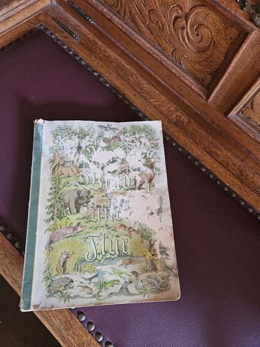 Aus wald und flur tiere - aus,