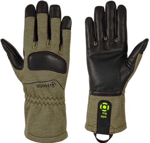 Holik foresta waldbrand - foresta,