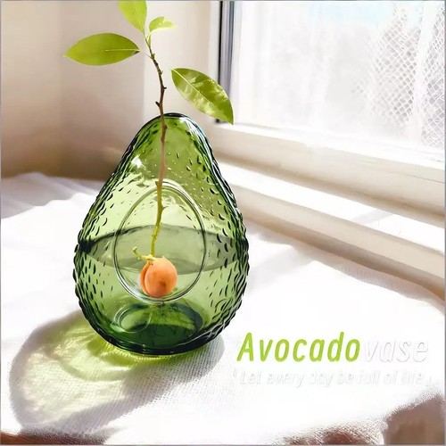 Avocado samen starter vase - avocado,