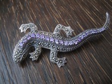 prächtige große Eidechse