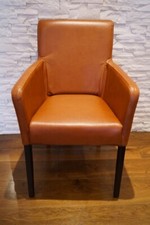 Echt Leder Esszimmerstühle Stuhl Sessel mit Armlehnen Stühle Lederstühle 