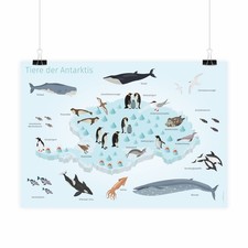 Kinder Lernposter - Tiere der