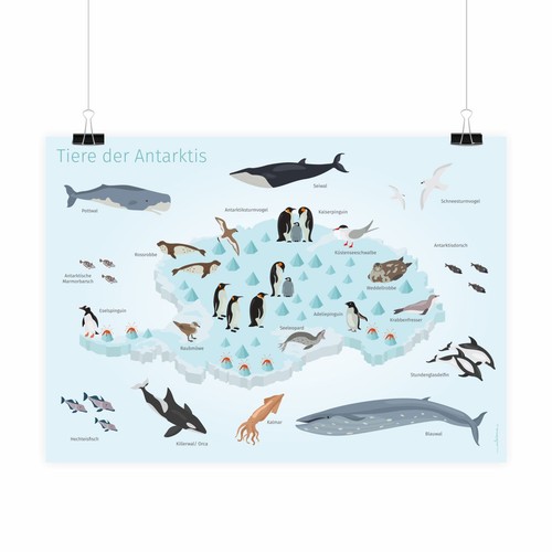 Kinder lernposter tiere - -, der