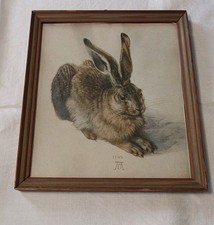 Albrecht Dürer, Kunstdruck, Junger Feldhase (1502), gerahmt , sehr alt 