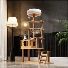 Katzenbaum 165 cm groß mit