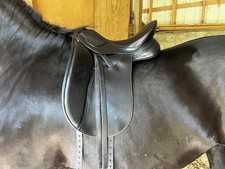 Peter Horobin Amazone Dressage