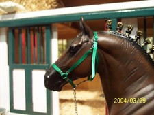 Jaapi GREEN halter w/lead -