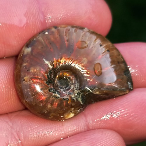 4cm rot opalisierender - 4cm,