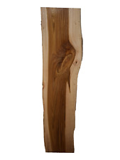 1x Ulme Rüster Bohle Brett