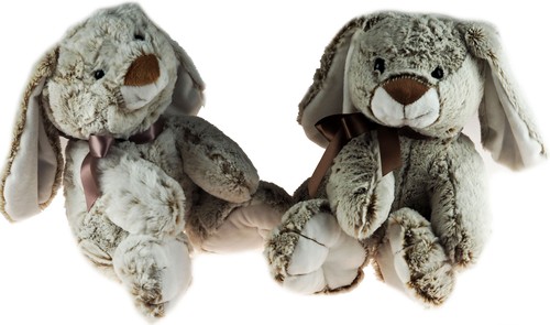 Flop ohr hase kaninchen - ohr,