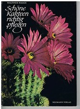 Schöne Kakteen richtig