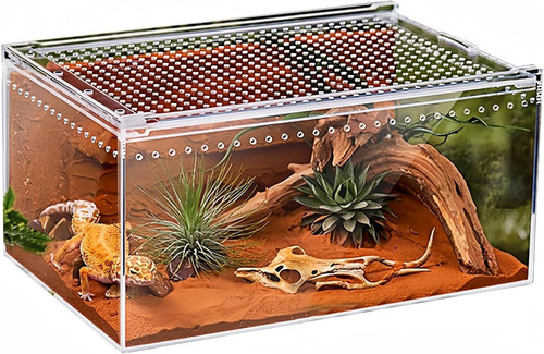 Reptilien terrarium box acryl - reptilien,