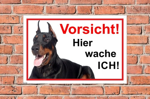 Schild hund dobermann - schild,