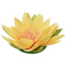 Schwimmende Seerose Deko für