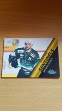 DEL2 17-18 2017-2018 SENTINELS Dominic Auger Bietigheim Steelers