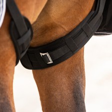 Schutz für Beinschnüre von