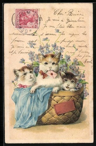 Präge drei kleine - drei, katzen