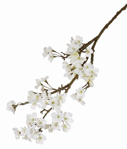 Artplants deko zweig - artplants,