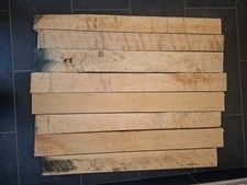 kanadischer Ahorn Hard Maple