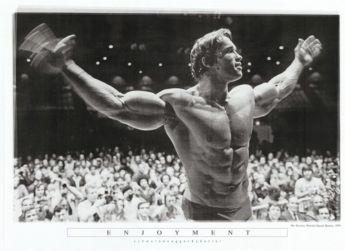 Arnold schwarzenegger mr - arnold, schwarzenegger: