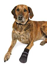 Pfotenschutz Hundeschuhe