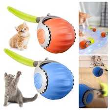 Elektrisch Katzen Ball