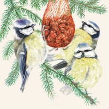 3 Servietten ~ Dinner Time Blaumeise Vögel am Futterball Winter