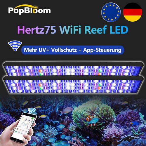 Popbloom meerwasser led - meerwasser,