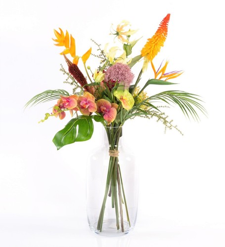 Artplants kunst - artplants,