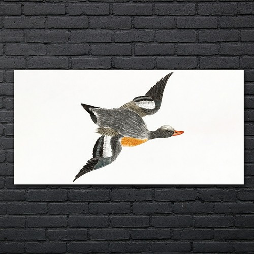 Zeichnung tier vogel kunst - zeichnung,