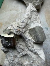 Pyrit Im Muttergestein