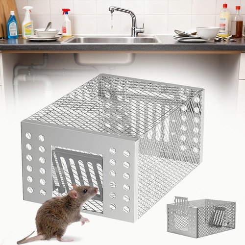 Maus lebendfalle mausefalle - maus,