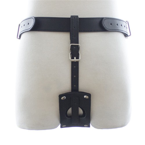 Harness strap dildo - harness,